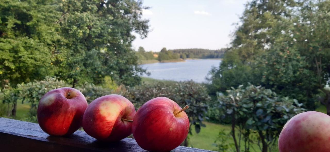 Agroturystyka Nad Czarnym Giby Exterior foto